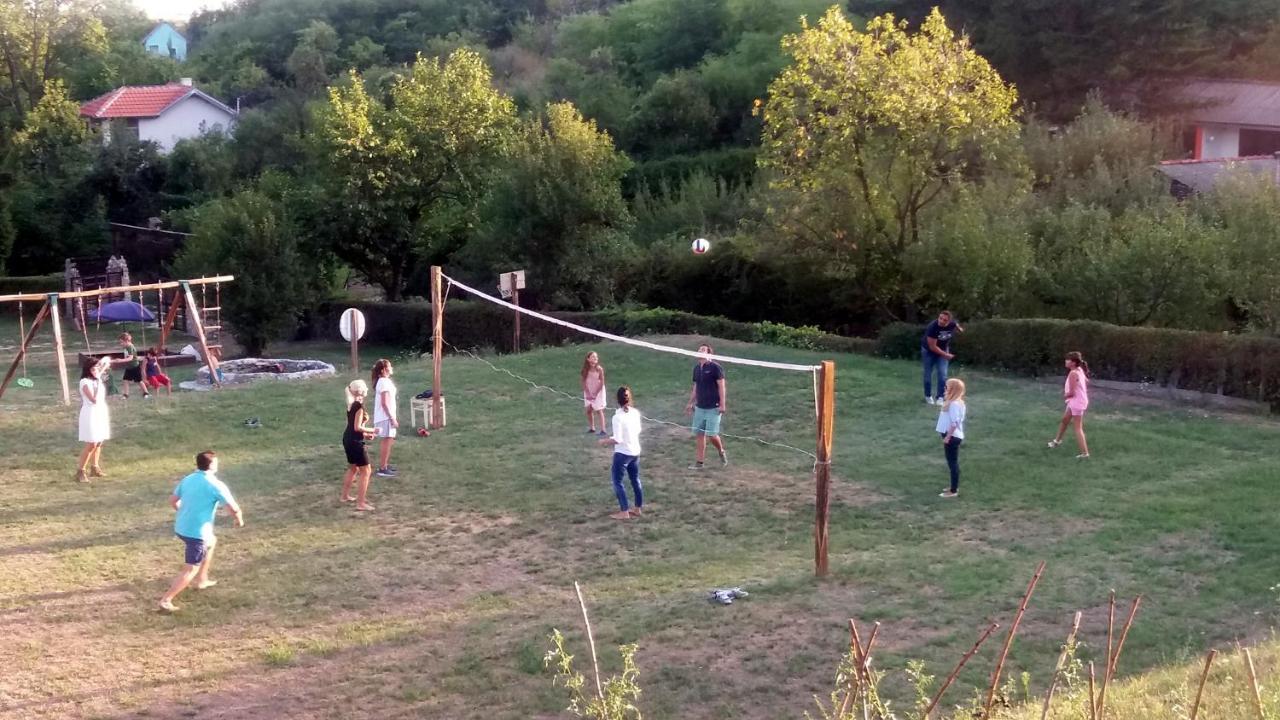 Vila Davidovic-Fruska Gora Mandelos Eksteriør billede
