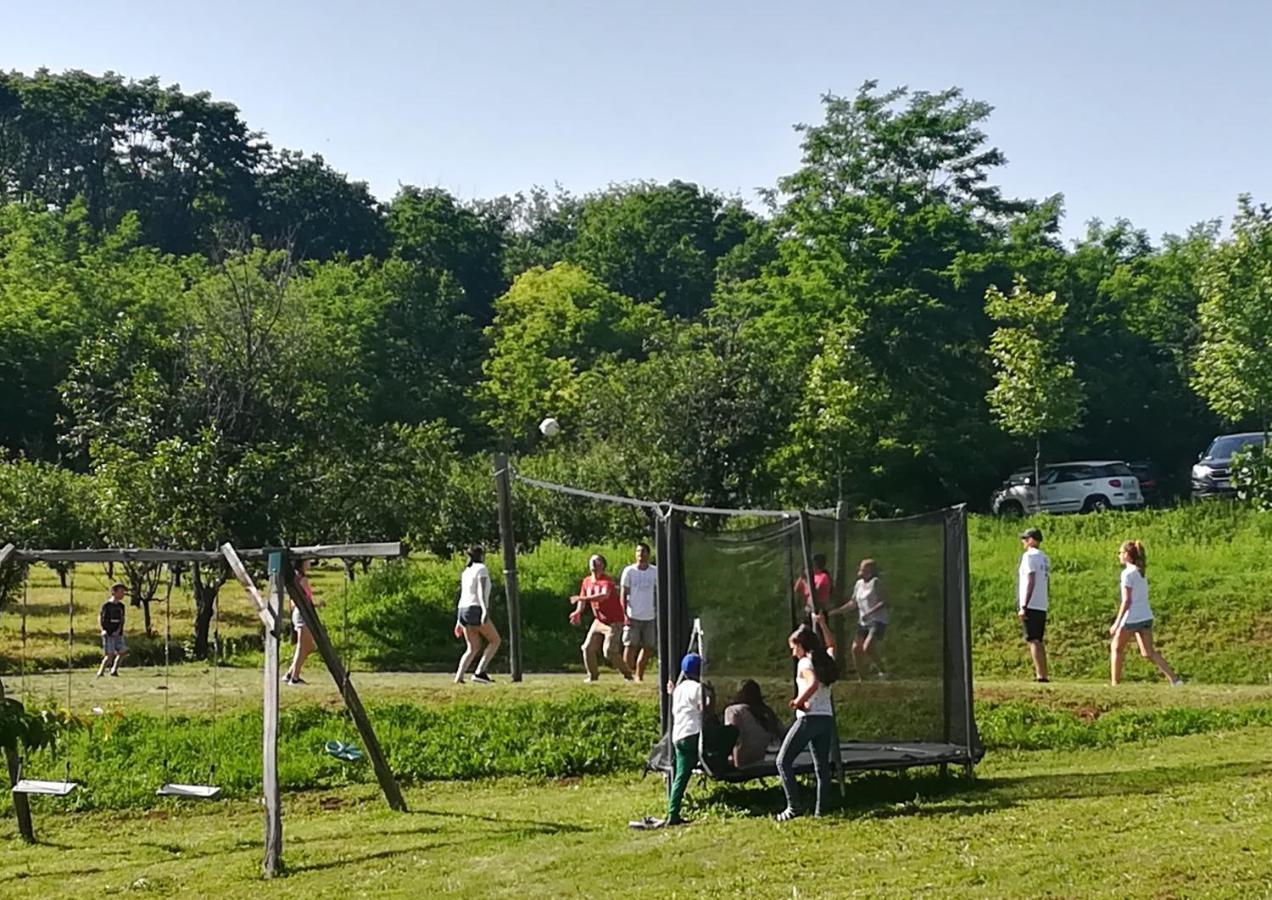 Vila Davidovic-Fruska Gora Mandelos Eksteriør billede